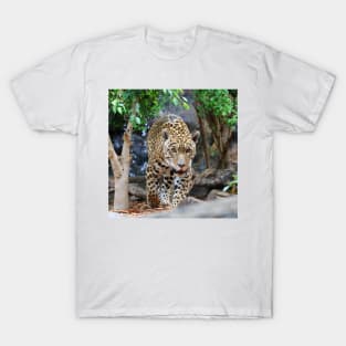 Jaguar 001 T-Shirt